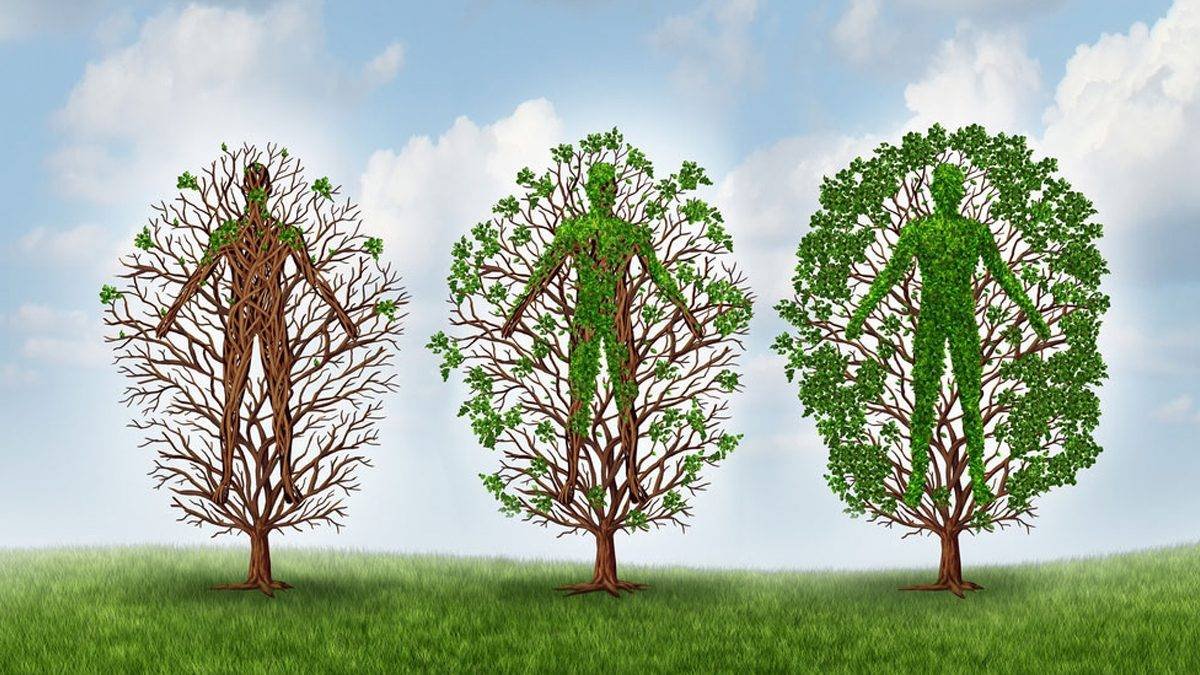 Dreams and Recovery from Addiction - Willing Ways